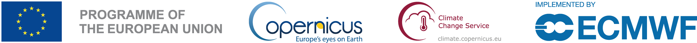Copernicus logo line